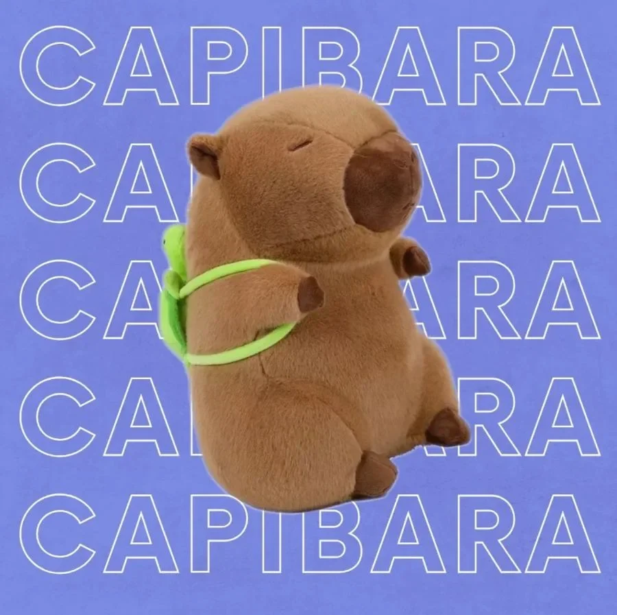 Parche Mio promotional graphic